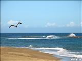 Playa Peñón Brusi - CAMUY